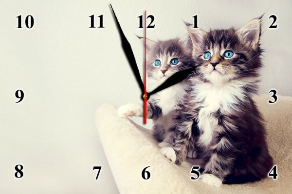 Настенные часы с котятами