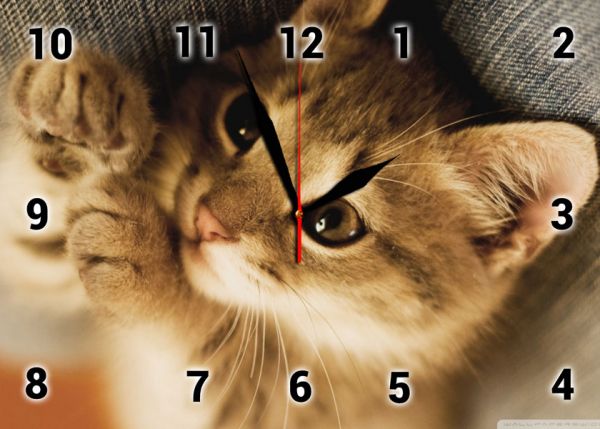 Настенные часы "Котенок"